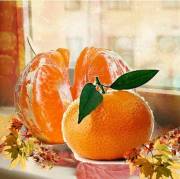 sabor-de-tangerina